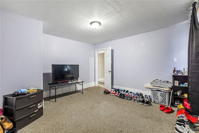 exercise room featuring a textured ceiling and carpet flooring