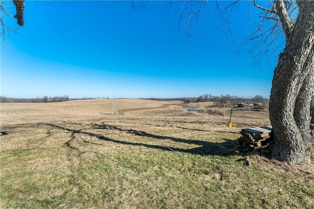 view of yard with a rural view