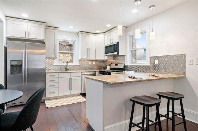 kitchen featuring dark wood-style floors, a healthy amount of sunlight, a peninsula, and stainless steel appliances