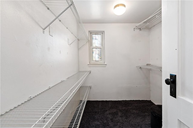 walk in closet featuring carpet floors