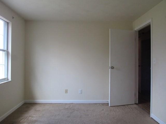 spare room with carpet flooring, a healthy amount of sunlight, and baseboards