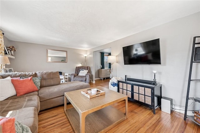 living room featuring baseboards and wood finished floors