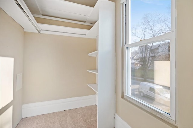 walk in closet with carpet floors