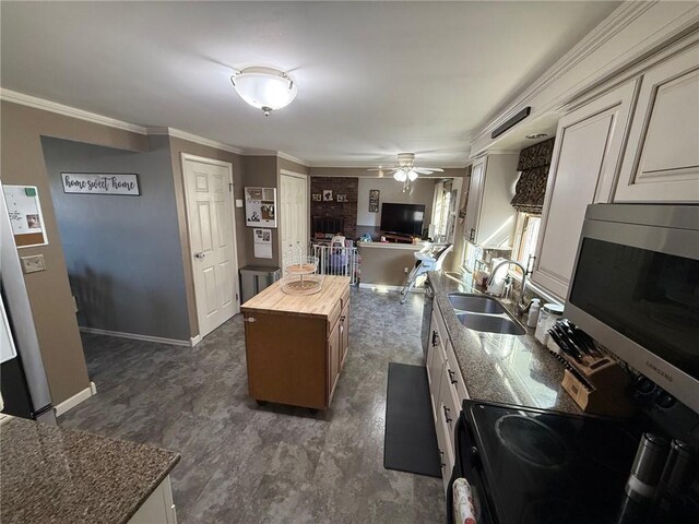 kitchen with a ceiling fan, a sink, stainless steel microwave, crown molding, and wooden counters