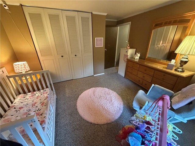 carpeted bedroom featuring a closet and crown molding