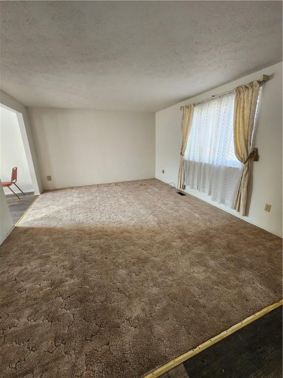 spare room featuring visible vents, carpet floors, and a textured ceiling