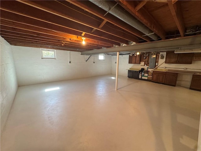 basement with electric panel