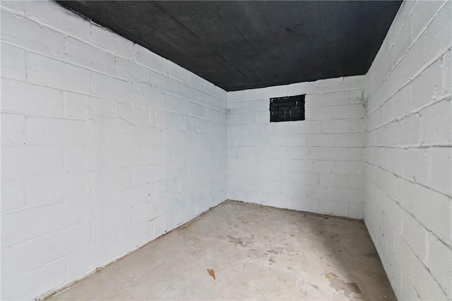 unfinished basement featuring concrete block wall