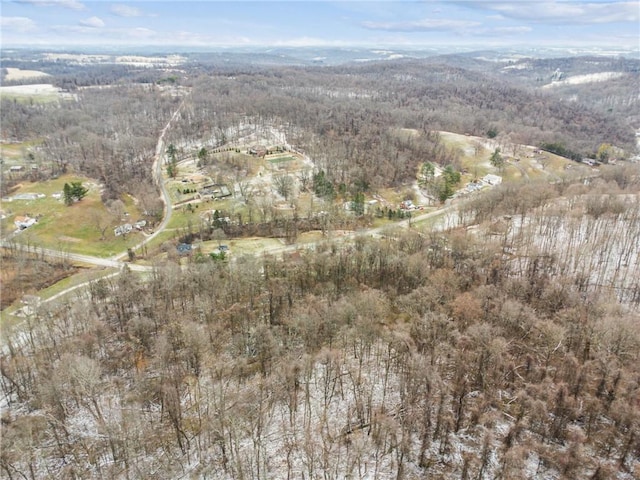 bird's eye view featuring a mountain view