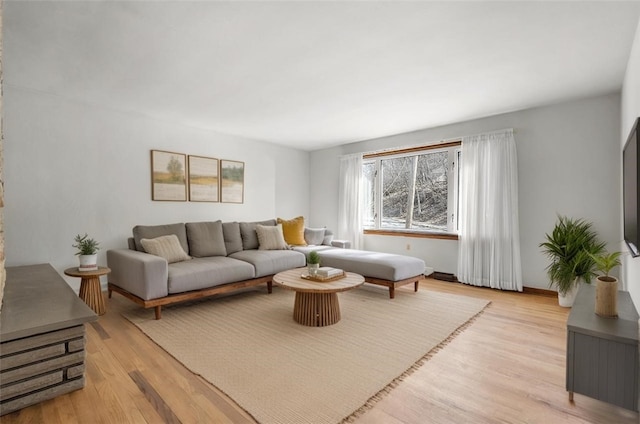 living room with light wood-type flooring