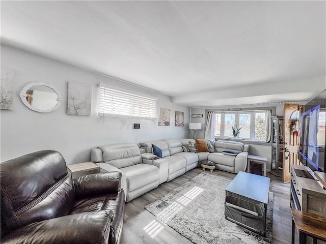 living area with wood finished floors