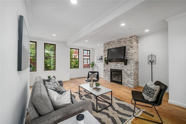 living area with baseboards, wood finished floors, ornamental molding, and a fireplace