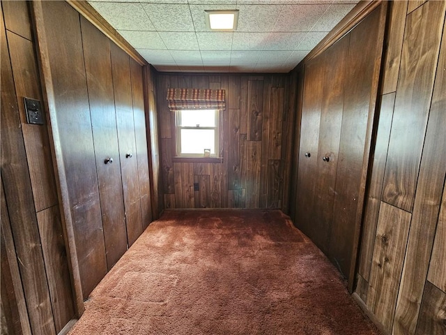 interior space featuring carpet flooring and wood walls