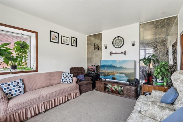 living room with carpet flooring