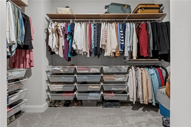 spacious closet featuring carpet flooring