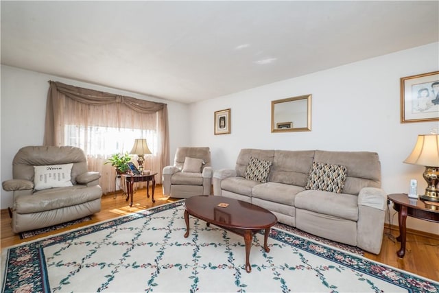 living room with wood finished floors