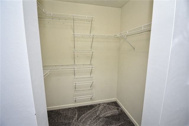 walk in closet with carpet flooring