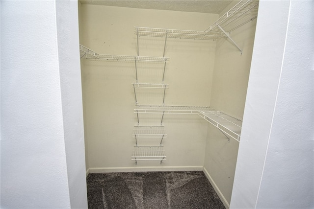 spacious closet with carpet