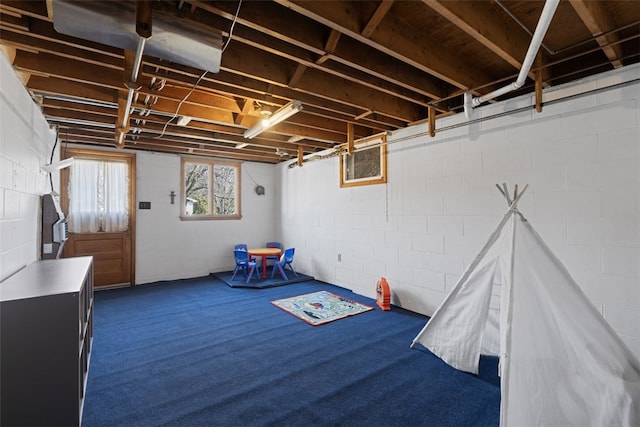 basement featuring carpet floors