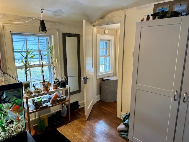 interior space with vaulted ceiling and wood finished floors