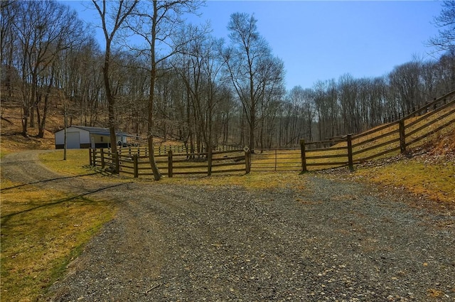 view of road featuring a view of trees and gravel driveway