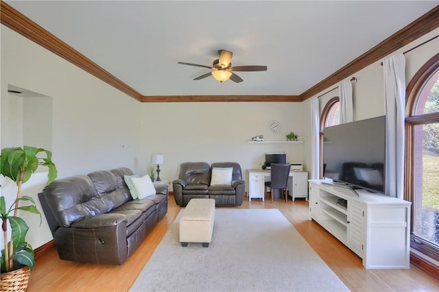 living area featuring ceiling fan, crown molding, and light wood finished floors