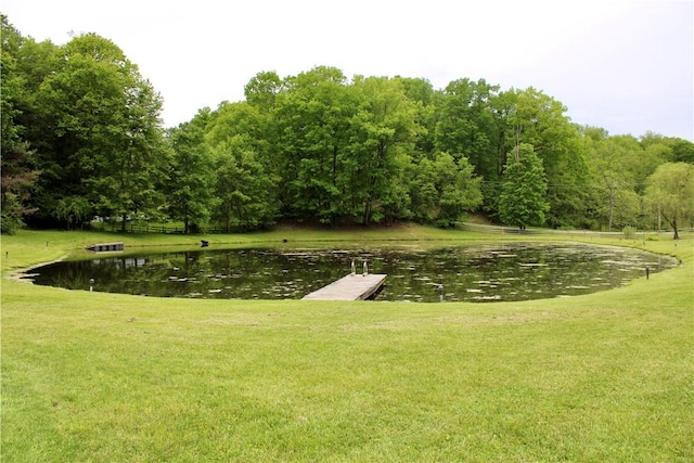5125 Bear Run Rd, Cranberry Twp, PA 16066 - view of property's community featuring a water view, a lawn, and a boat dock