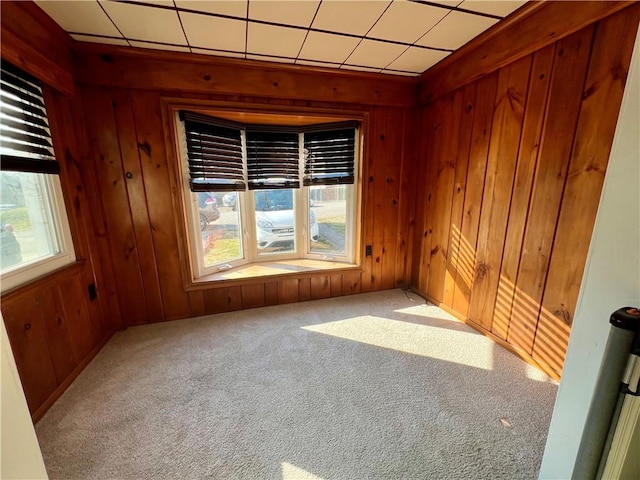 empty room with carpet and wooden walls