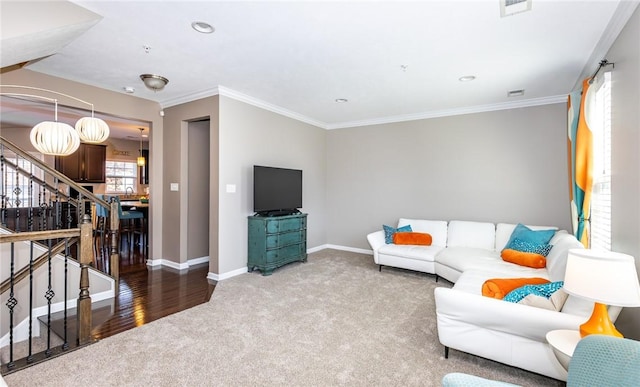 carpeted living area featuring visible vents, baseboards, ornamental molding, and stairs