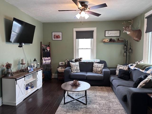 living room featuring a ceiling fan, dark wood-style flooring, and a textured ceiling