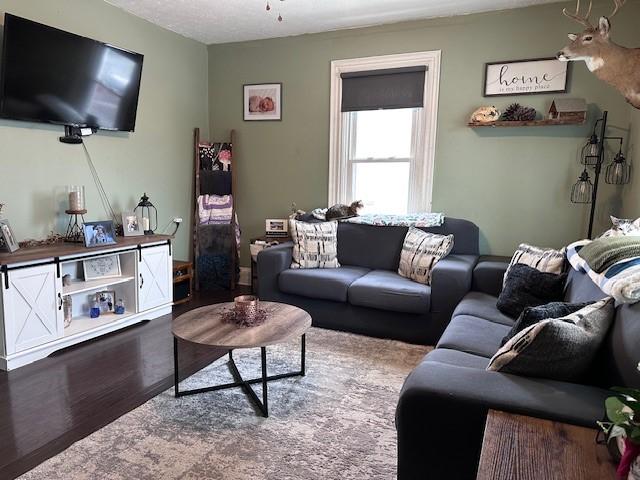 living area featuring wood finished floors