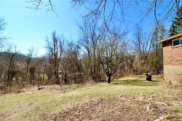 view of yard with a view of trees