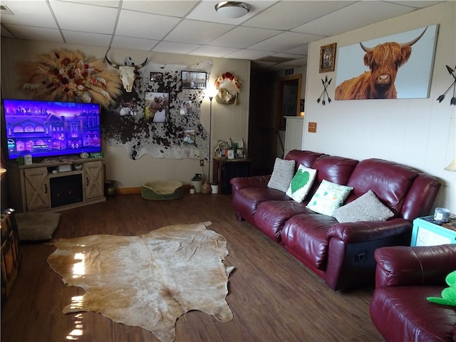 living area featuring a drop ceiling and wood finished floors