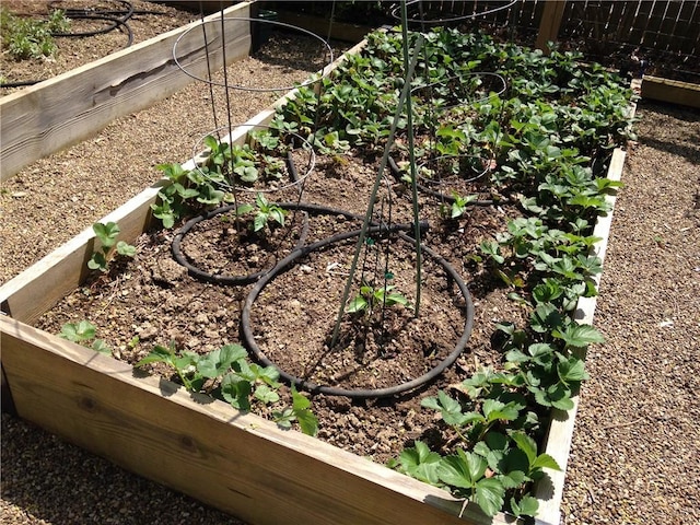 exterior details with a vegetable garden