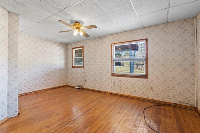 empty room with wallpapered walls, hardwood / wood-style flooring, a ceiling fan, and a paneled ceiling