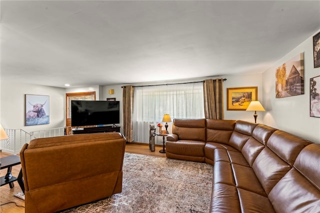 living area with wood finished floors