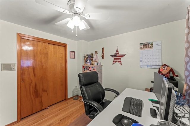 office featuring a ceiling fan and light wood-type flooring