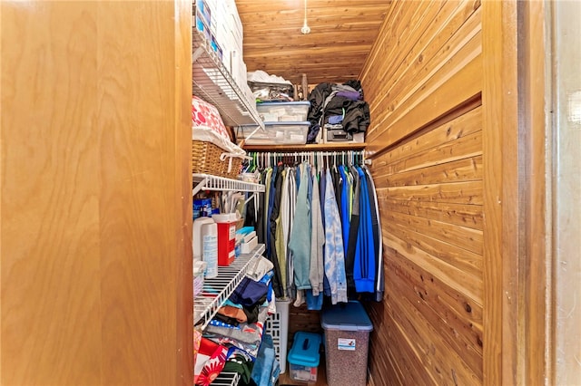 view of spacious closet