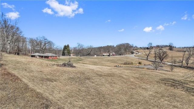 view of yard with a rural view