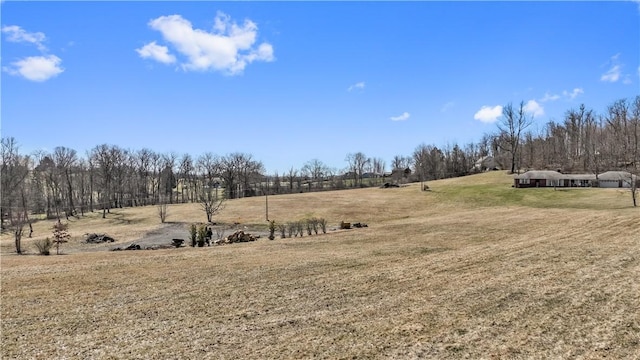 view of yard with a rural view