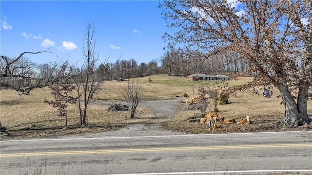 view of yard with a rural view