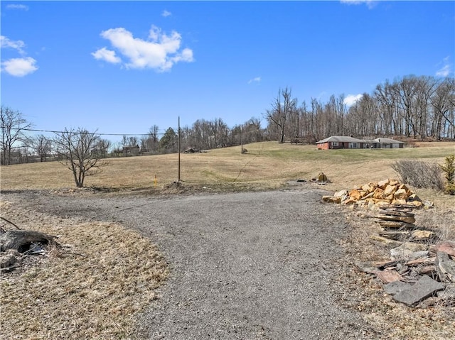 view of yard with a rural view