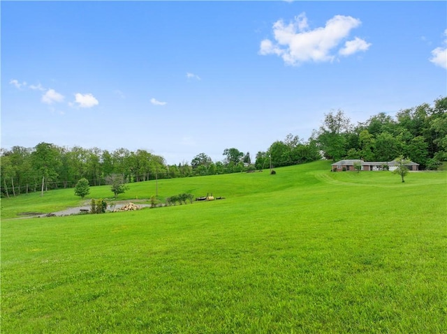 884 Linden Rd, North Strabane, PA 15330 - view of grassy yard