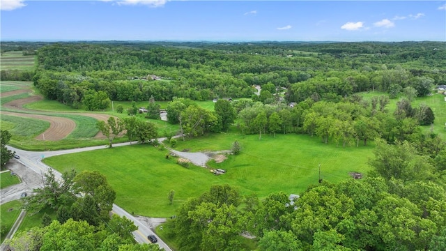 884 Linden Rd, North Strabane, PA 15330 - aerial view of property and surrounding area with a forest