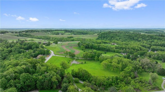 884 Linden Rd, North Strabane, PA 15330 - aerial view of a forest