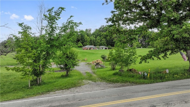 884 Linden Rd, North Strabane, PA 15330 - view of road with view of wooded area