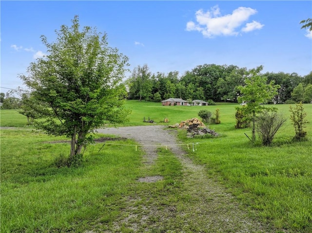 884 Linden Rd, North Strabane, PA 15330 - view of green lawn featuring dirt driveway and a rural view