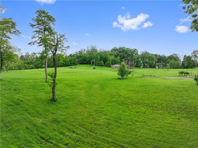 884 Linden Rd, North Strabane, PA 15330 - view of grassy yard with view of wooded area