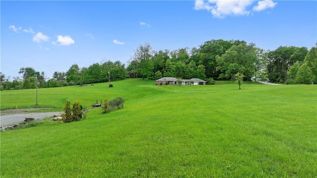 884 Linden Rd, North Strabane, PA 15330 - view of grassy yard with a view of countryside