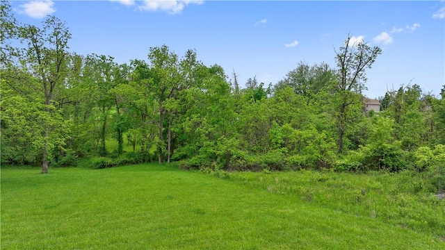 884 Linden Rd, North Strabane, PA 15330 - view of green lawn with a wooded view